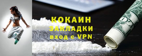 ГАЛЛЮЦИНОГЕННЫЕ ГРИБЫ Аркадак