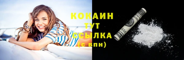 ГАЛЛЮЦИНОГЕННЫЕ ГРИБЫ Аркадак