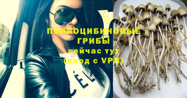 стафф Арсеньев