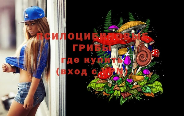 стафф Арсеньев