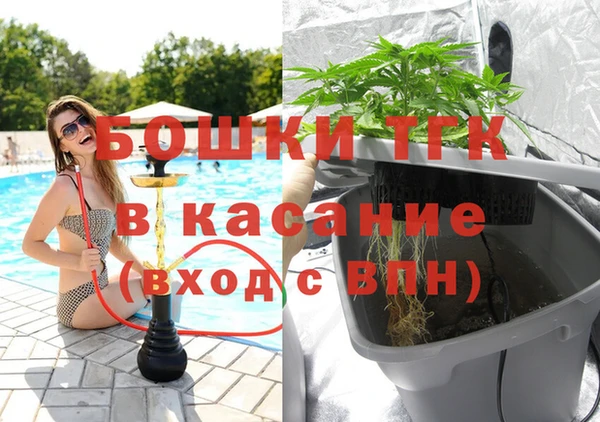ГАЛЛЮЦИНОГЕННЫЕ ГРИБЫ Аркадак
