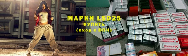 ГАЛЛЮЦИНОГЕННЫЕ ГРИБЫ Аркадак