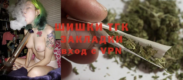 стафф Арсеньев