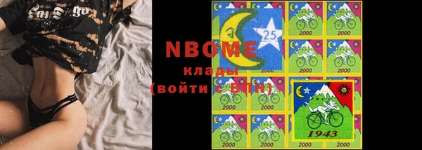 стафф Арсеньев