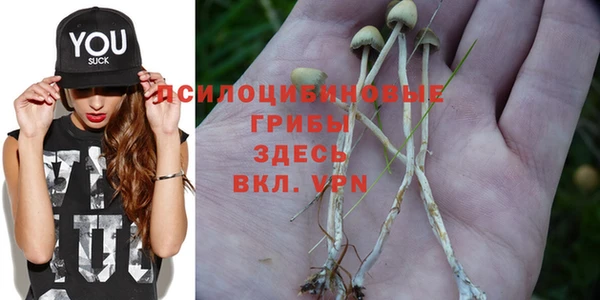 крисы Армянск