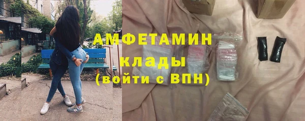 ГАЛЛЮЦИНОГЕННЫЕ ГРИБЫ Аркадак