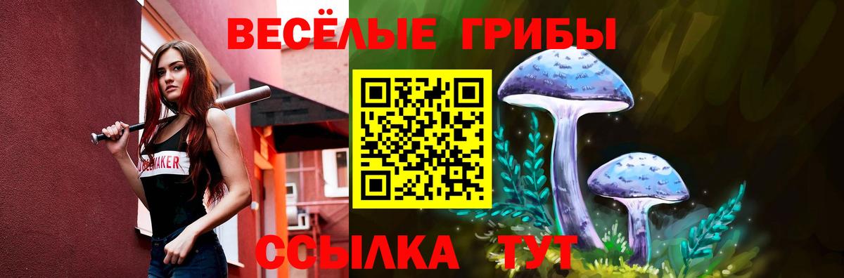 Псилоцибиновые грибы GOLDEN TEACHER  Вход с VPN  Псилоцибиновые грибы Magic Shrooms  Полевской 
